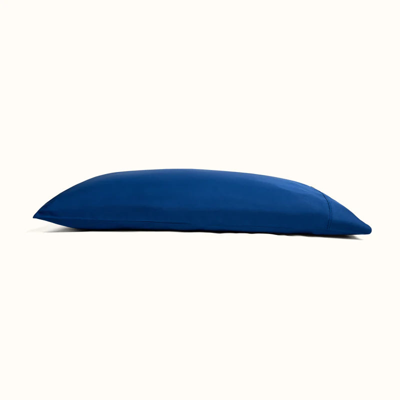 Blue Bamboo Pillowcase Set (2)